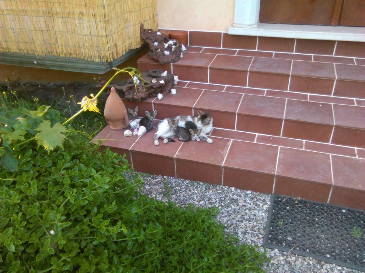 L'Oasi Bed & Breakfast Auletta Ngoại thất bức ảnh